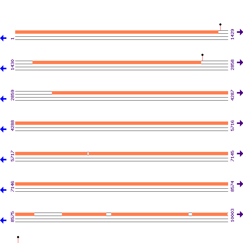 Genome View