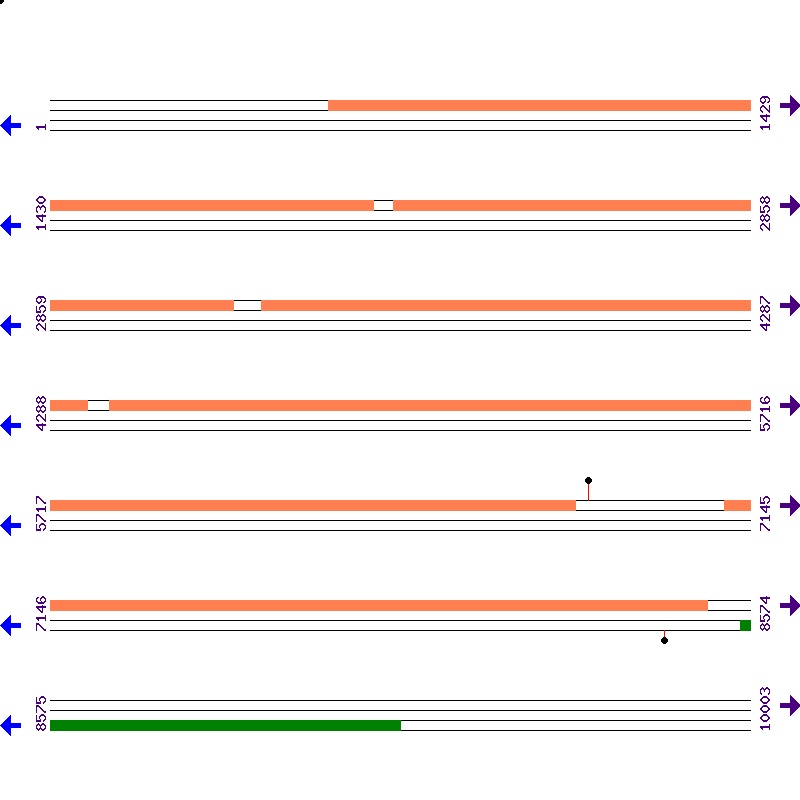 Genome View