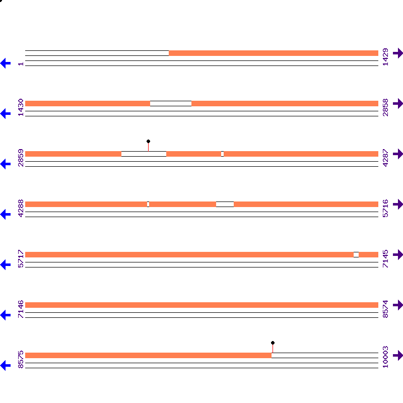 Genome View