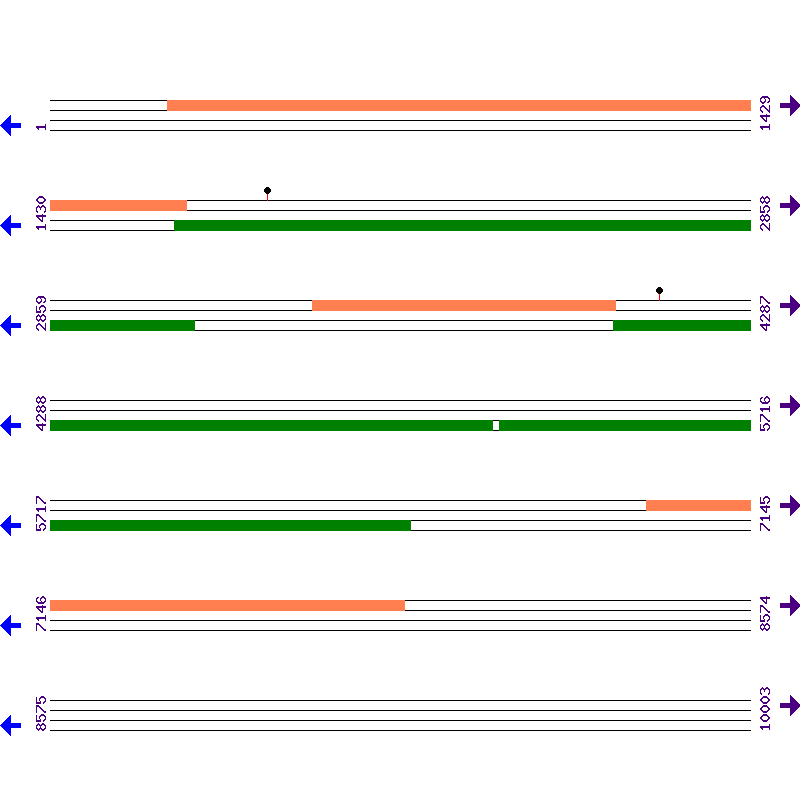 Genome View