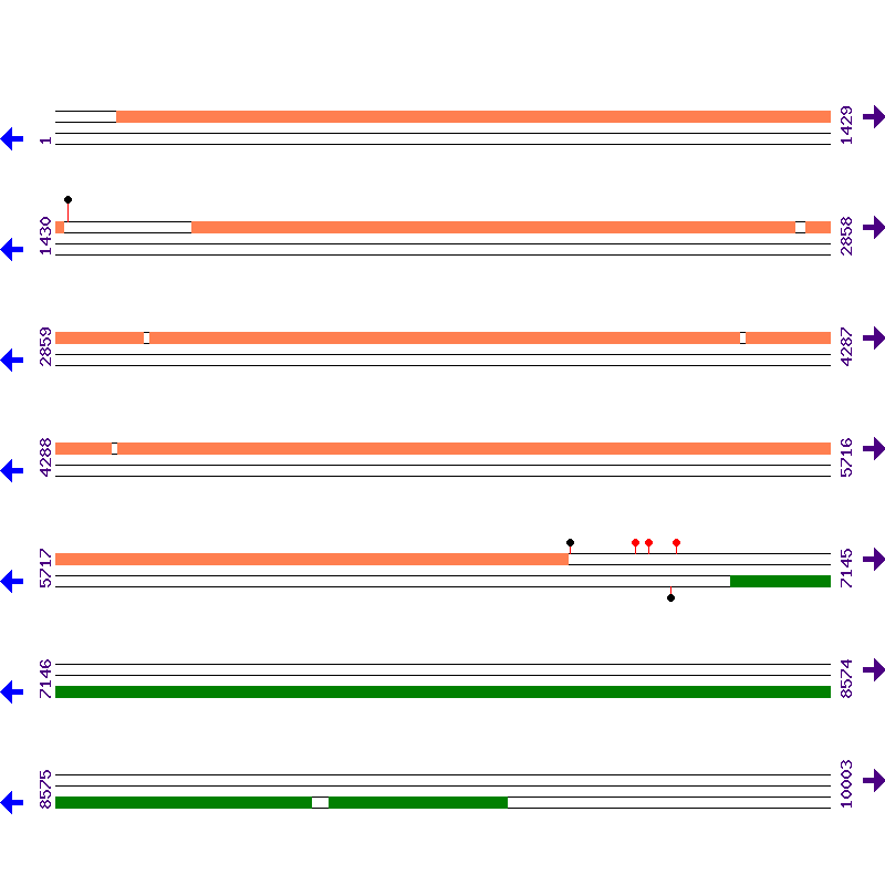 Genome View