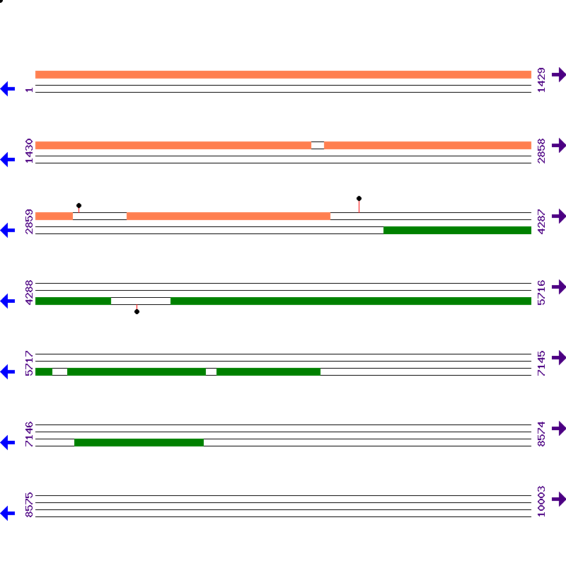 Genome View