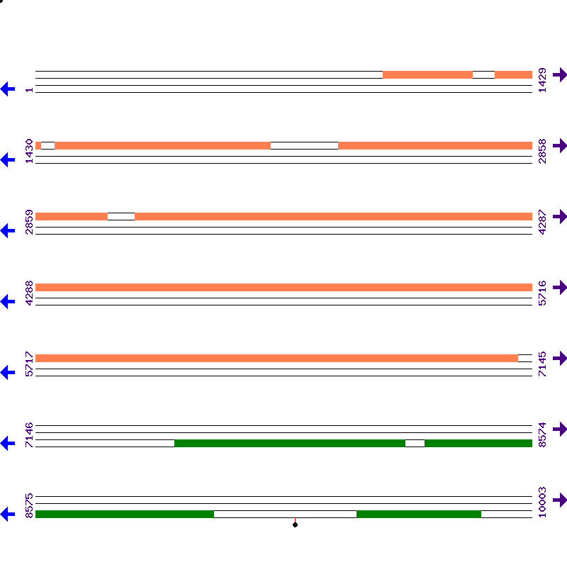 Genome View
