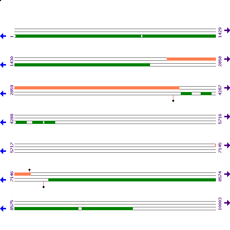 Genome View