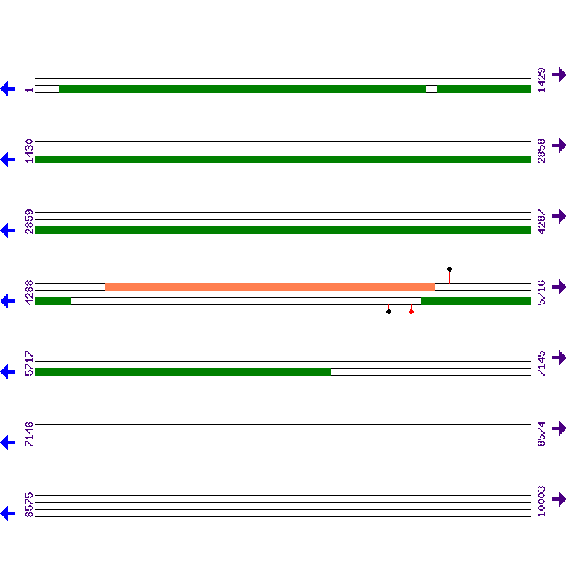 Genome View