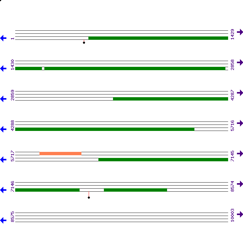 Genome View