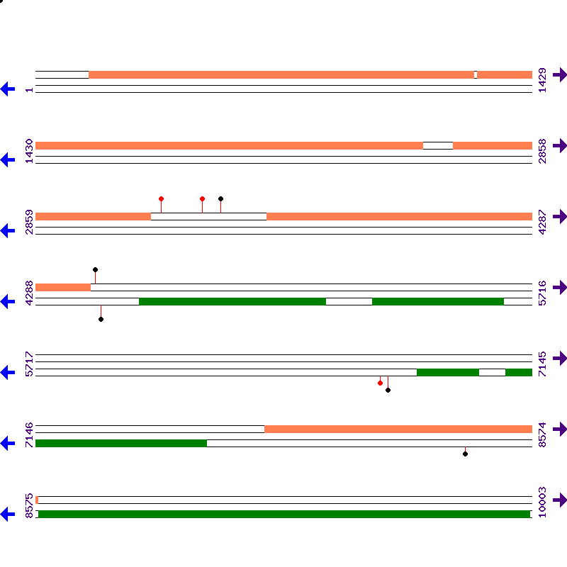Genome View
