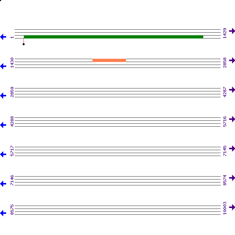 Genome View