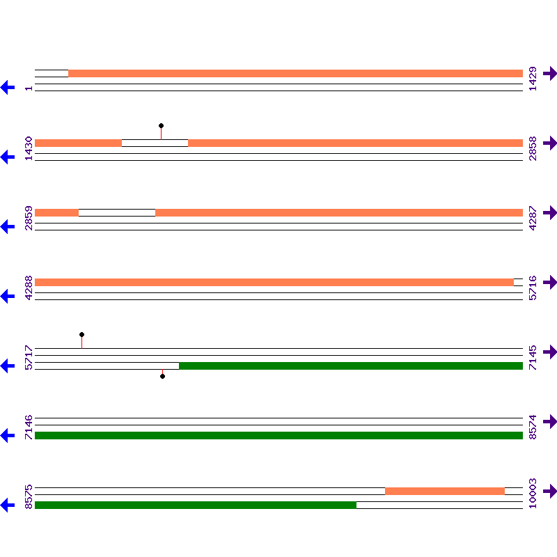 Genome View
