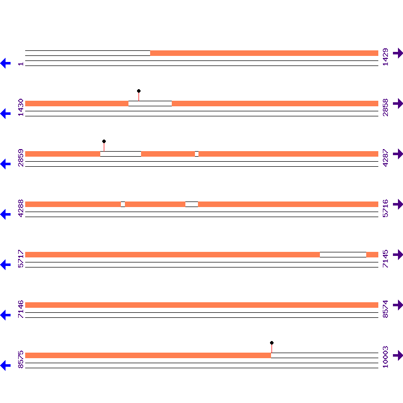 Genome View