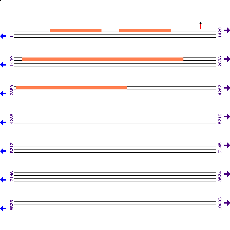 Genome View