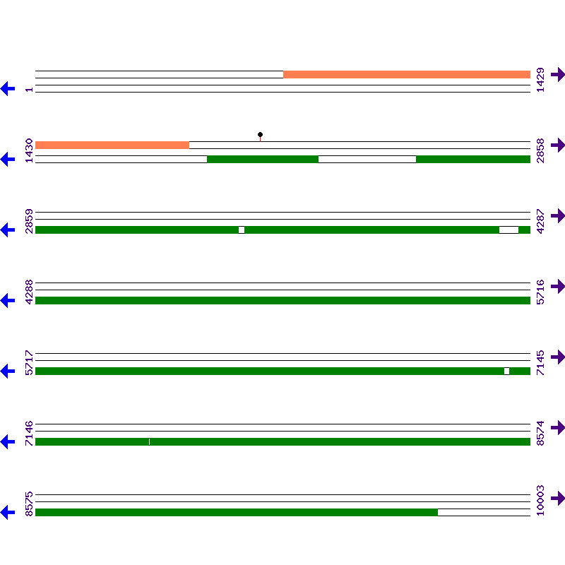 Genome View