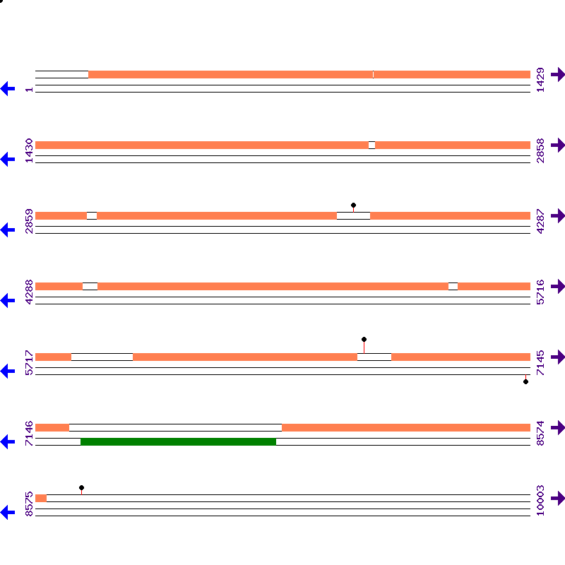 Genome View