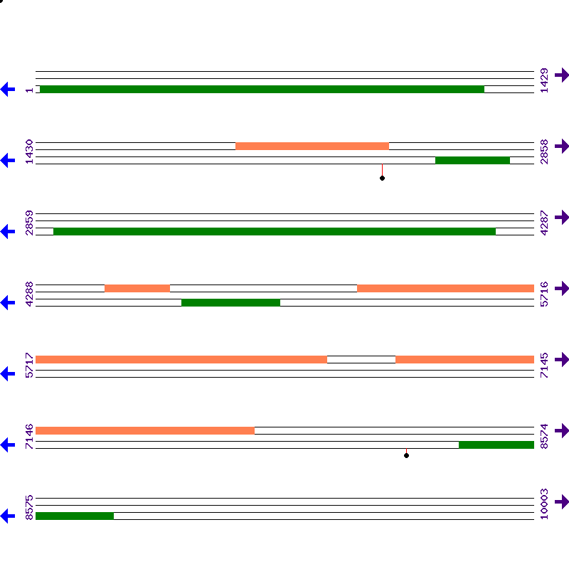 Genome View