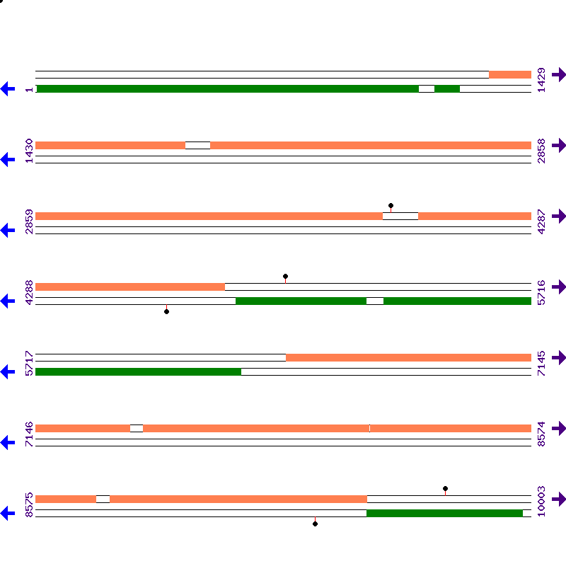 Genome View