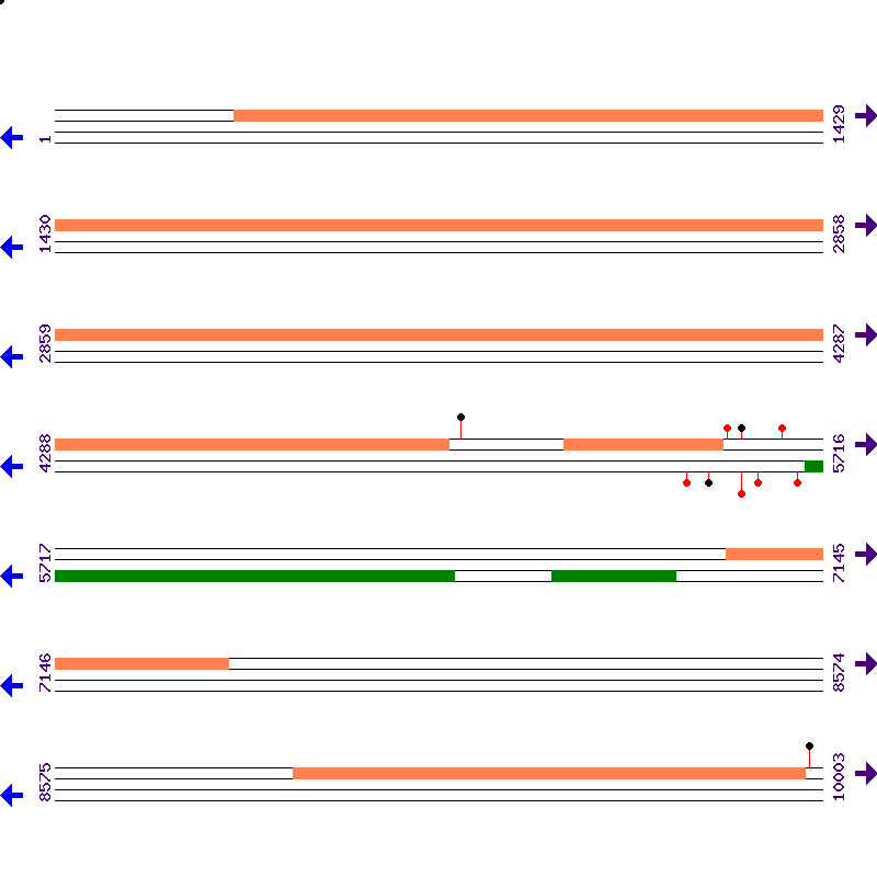 Genome View