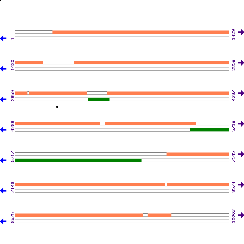 Genome View
