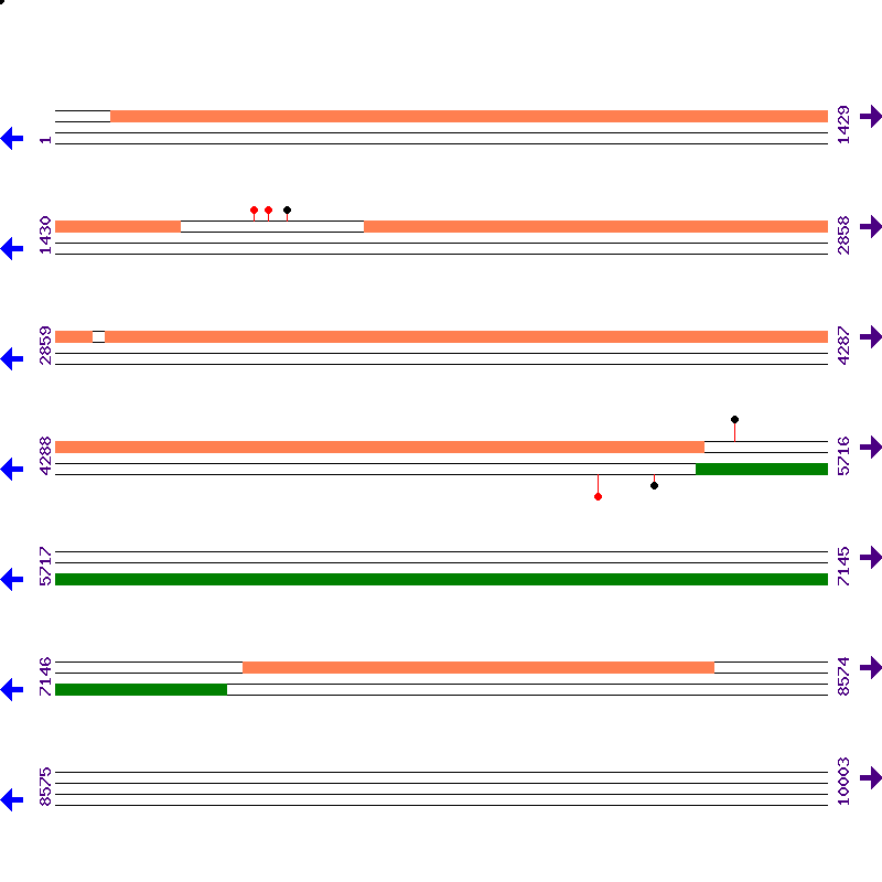 Genome View