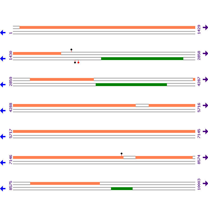 Genome View