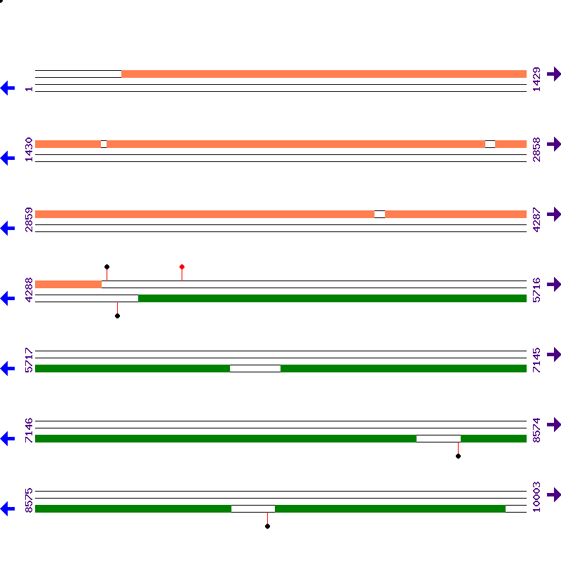 Genome View
