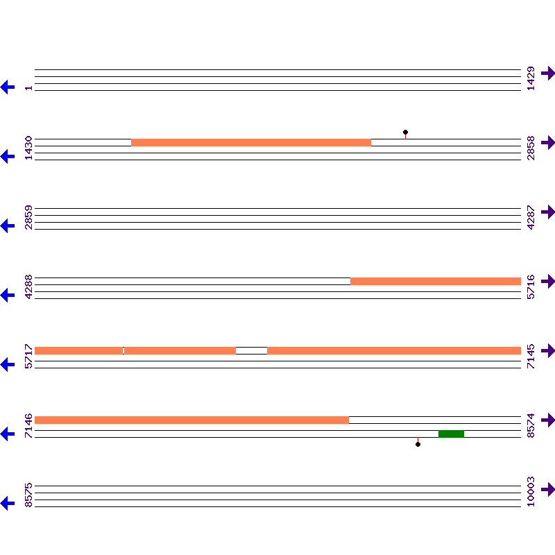 Genome View