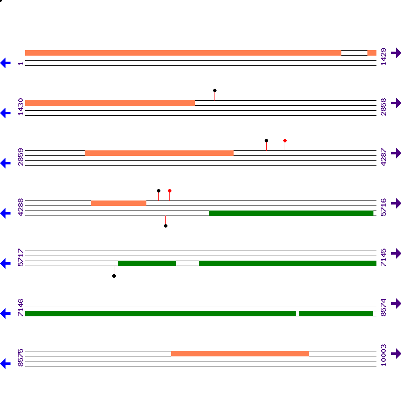 Genome View