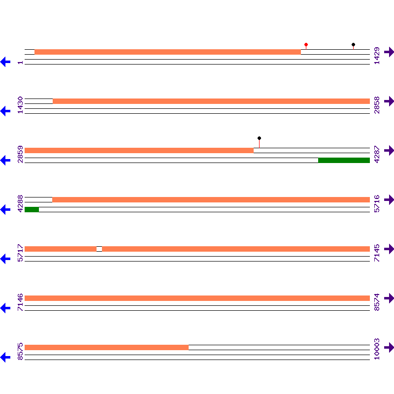 Genome View
