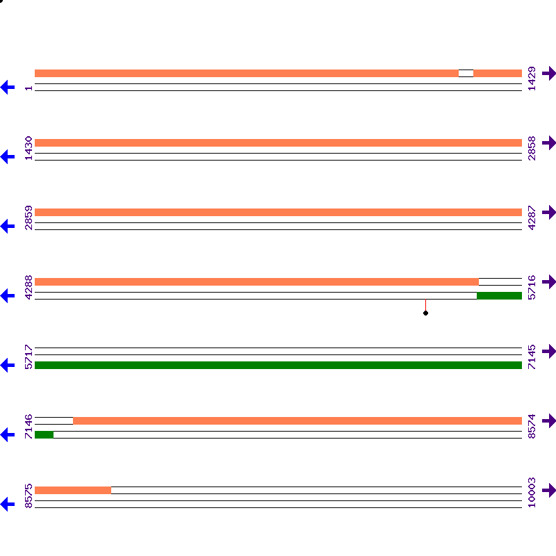 Genome View