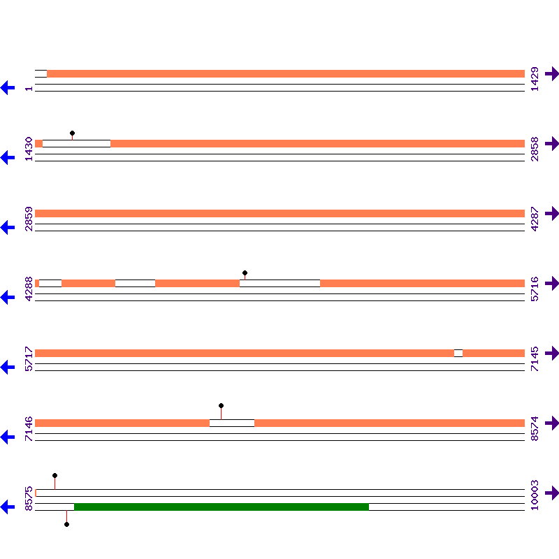 Genome View