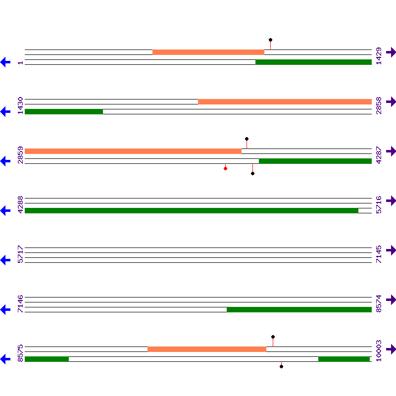 Genome View