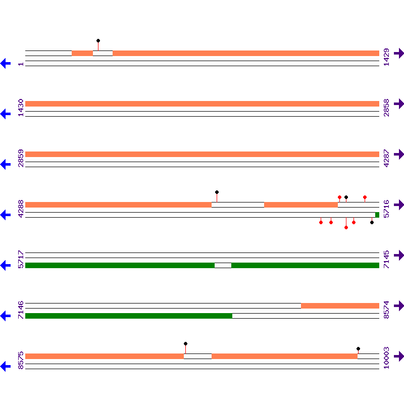 Genome View