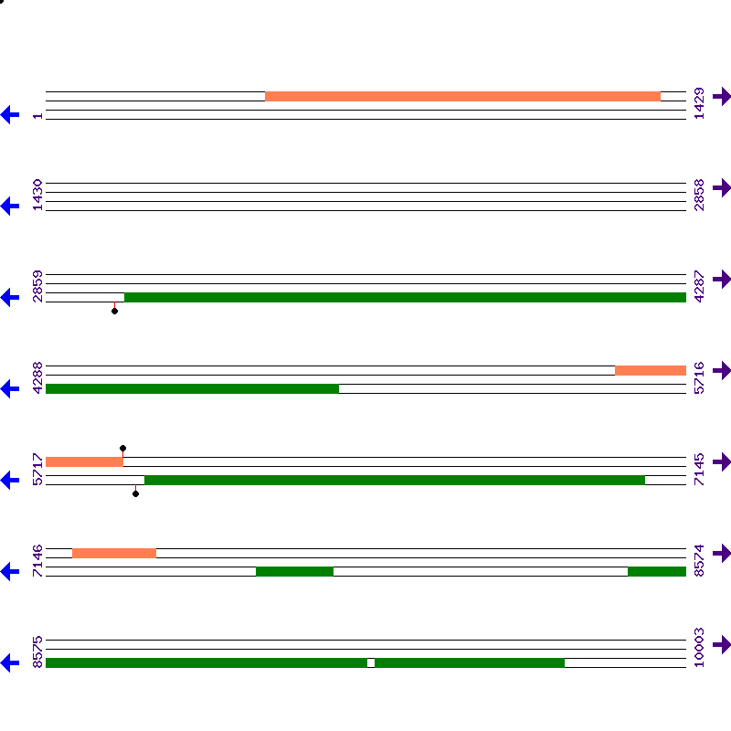 Genome View