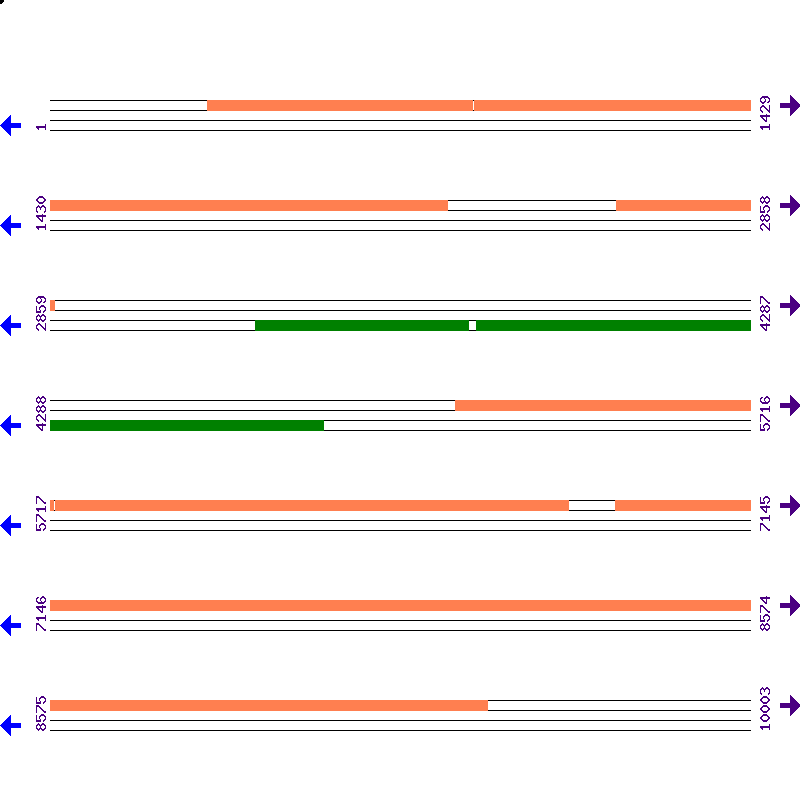 Genome View