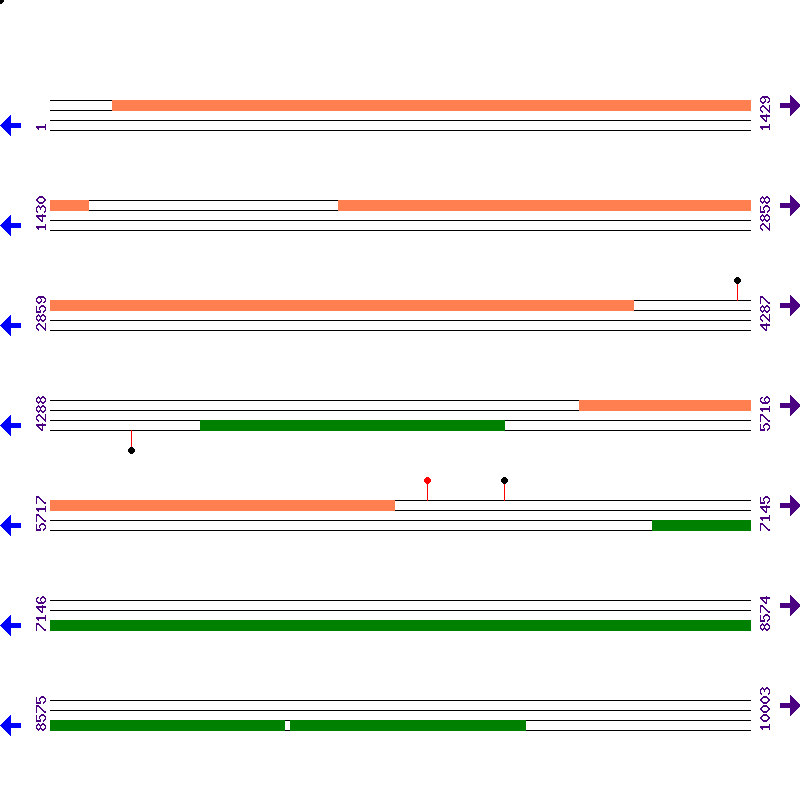 Genome View