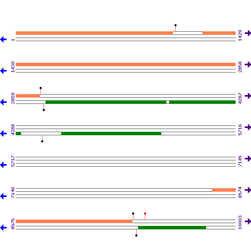 Genome View