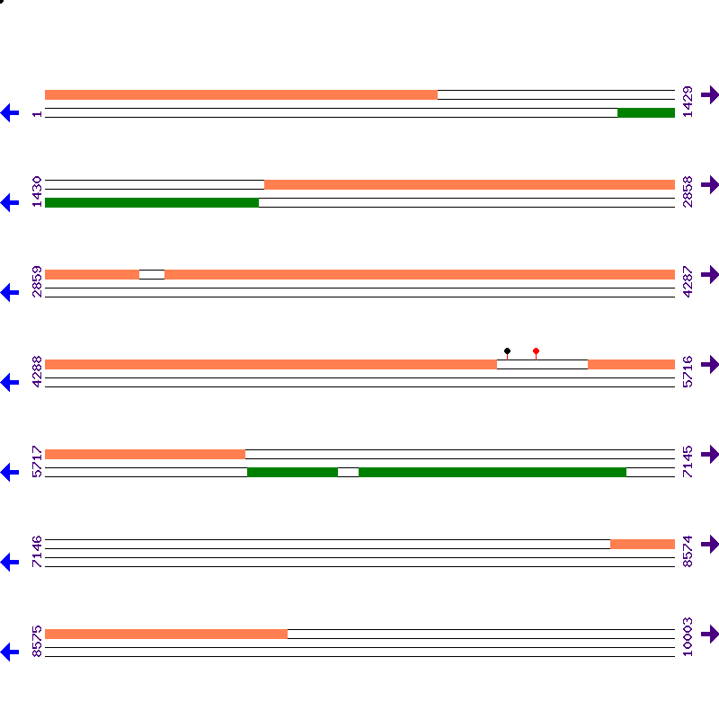 Genome View