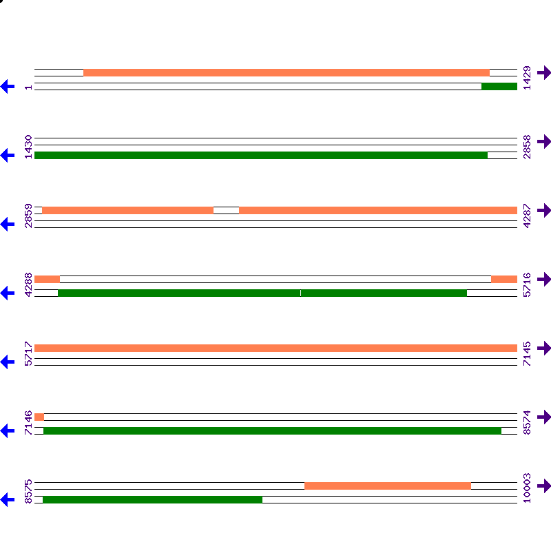 Genome View
