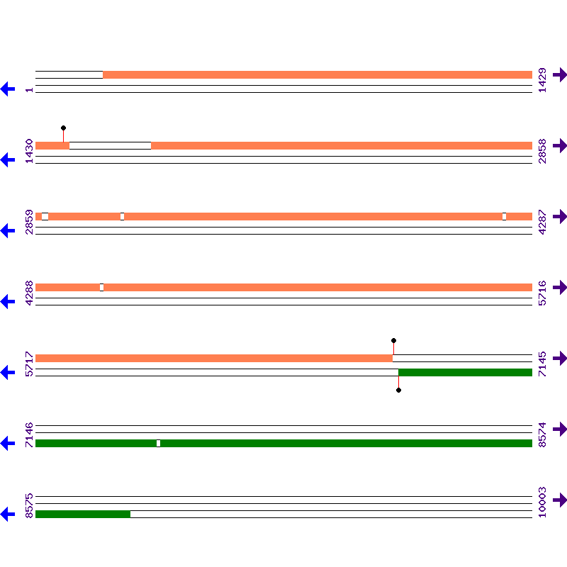 Genome View