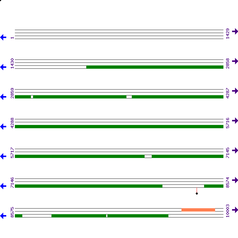 Genome View