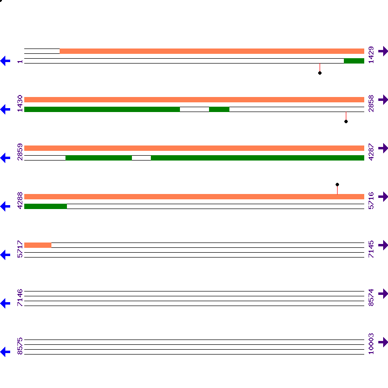 Genome View