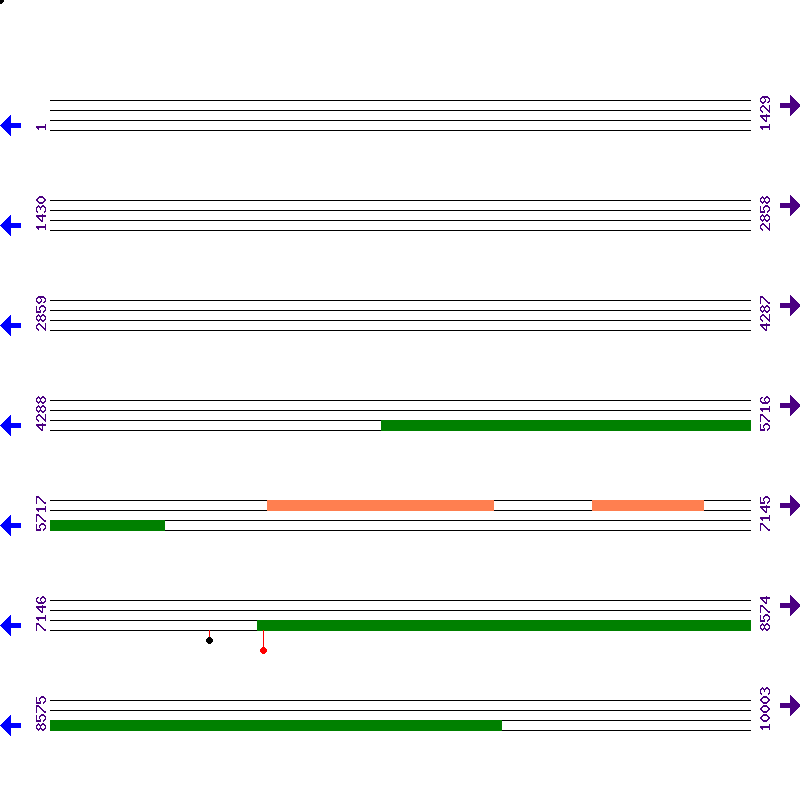 Genome View
