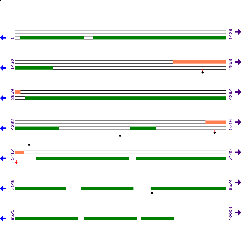 Genome View
