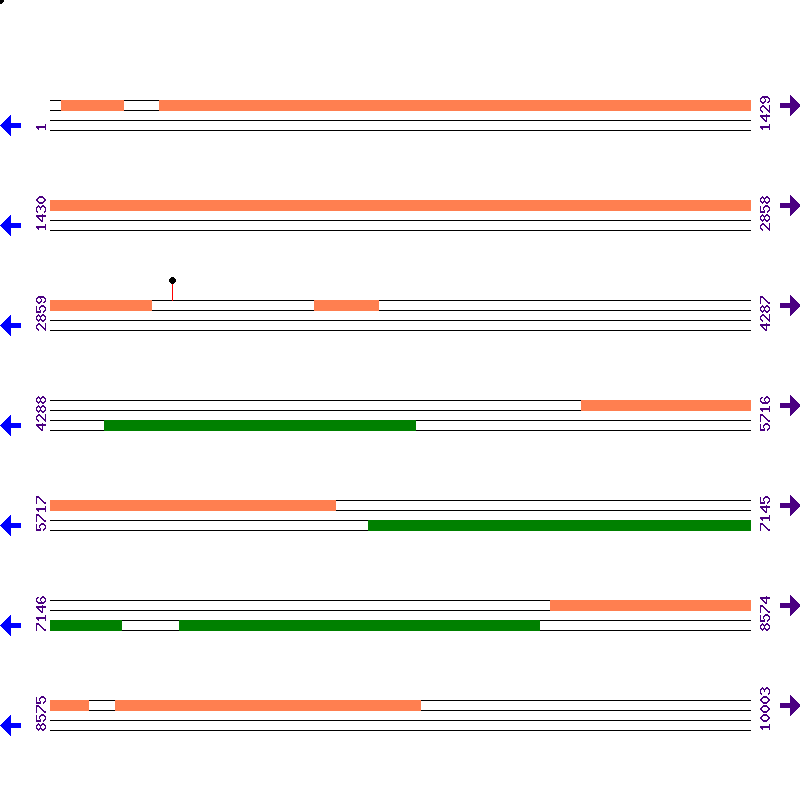 Genome View