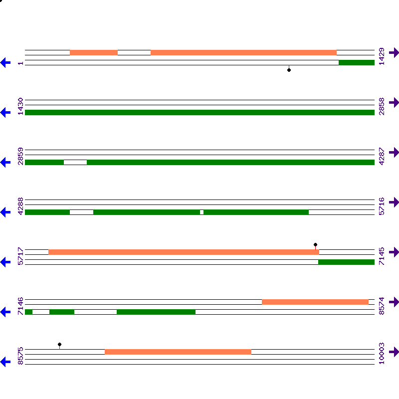 Genome View