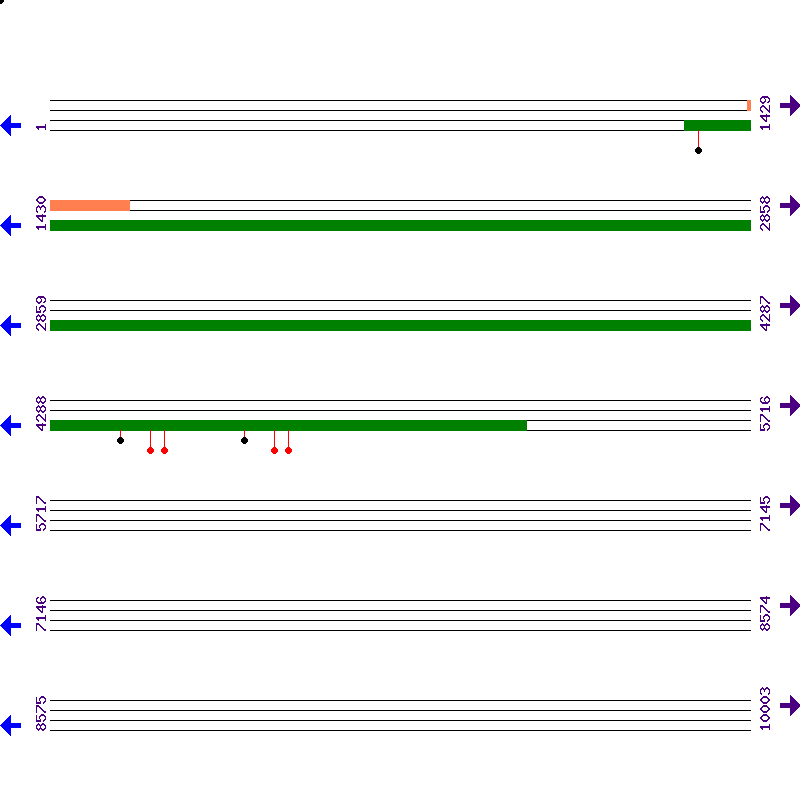 Genome View