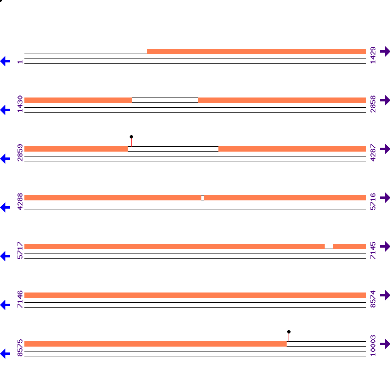 Genome View