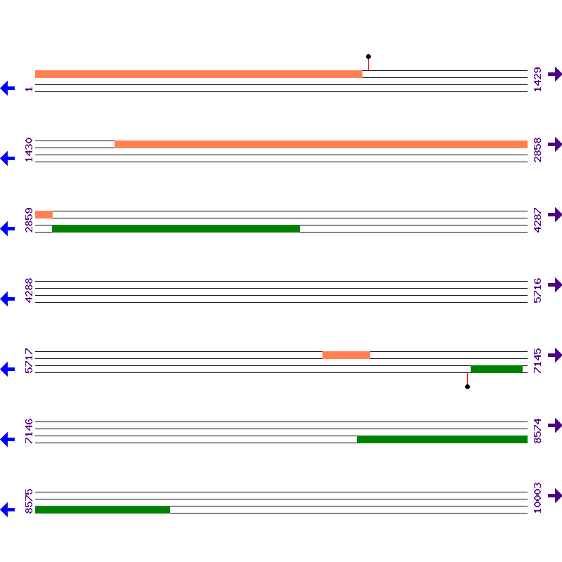 Genome View