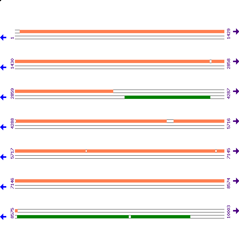 Genome View