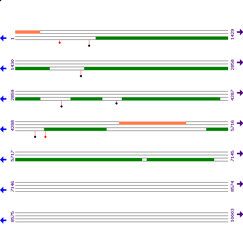 Genome View