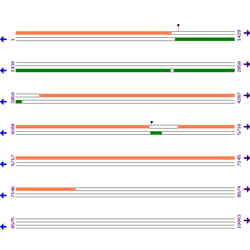 Genome View